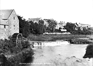 Salmon Leap on Bush River, Bushmills Salmon Leap on Bush River, Bushmills