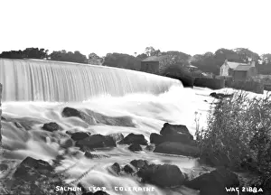Salmon Leap, Coleraine