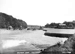 Weir Prints: Salmon Leap, Coleraine