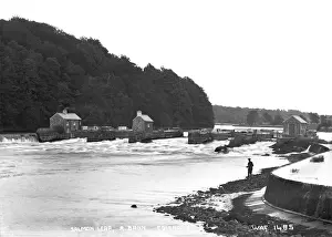 Bann Prints: Salmon Leap, R. Bann, Coleraine