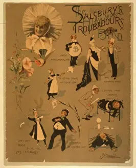 Salsburys Troubadours the humming bird