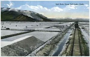 Utah Prints: Salt Beds, Great Salt Lake, Utah, USA
