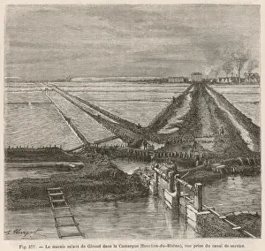 Giraud Prints: Salt Marsh, Giraud