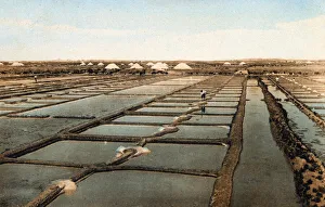 Images Dated 12th February 2021: Salt pans, Chatelaillon-Plage near La Rochelle