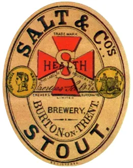 Salt & Co Stout
