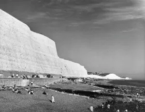 Chalk Collection: Saltdean Chalk Cliffs