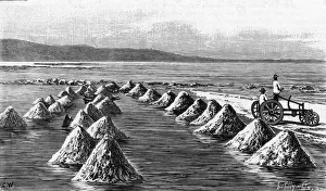 Images Dated 29th March 2018: SALTON SALT, USA