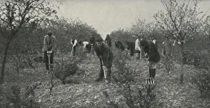 Salvation Army Labour Colony at Hadleigh, Essex