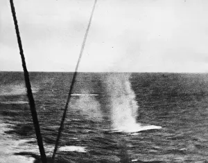 Salvo falling, Battle of the Falkland Islands, WW1