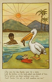 Images Dated 14th April 2008: Sambo takes a swim