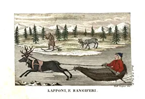 Interessanti Prints: Sami man or Lapplander in a sleigh pulled