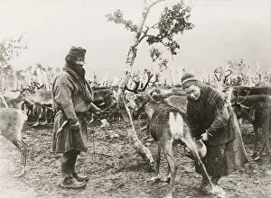 Cropland Prints: Sami man and woman milking a reindeer, Norway