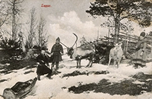 Images Dated 8th November 2016: Sami People - Norway - with Reindeer and small wooden sled