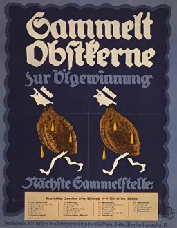Sammelt Obstkerne zur olgewinnung; nachste Sammelstelle