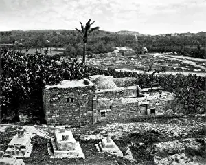 Samson Prints: Samsons Gate, Gaza, Holy Land