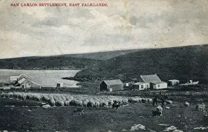 Images Dated 11th July 2016: San Carlos Settlement, East Falklands