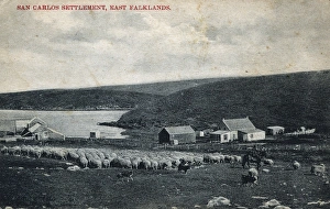 Images Dated 11th July 2016: San Carlos Settlement, East Falklands
