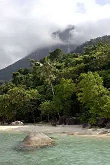 Rainforests Prints: Sand beach and rainforest on slopes of volcanic