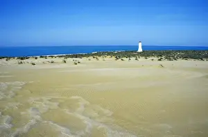 Sand Dunes of a desert