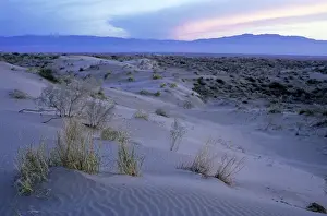 Turkmenistan Prints: Sand dunes of Karakum desert - sunset