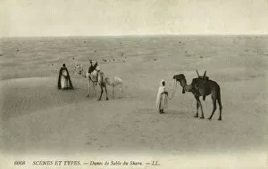 Nov15 Gallery: Sand dunes of the Sahara