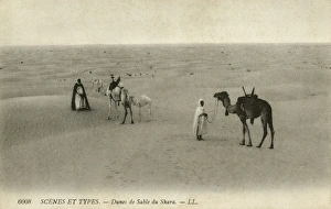 Images Dated 7th December 2015: Sand dunes of the Sahara
