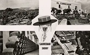 Cadiz Prints: Sandeman postcard, Jerez de la Frontera, Cadiz, Spain