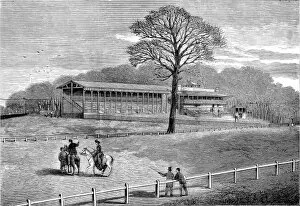 1875 Collection: Sandown Park Racecourse, 1875