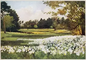 Sandringham / Church 1916