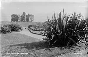 Sandsfoot Castle Ruins