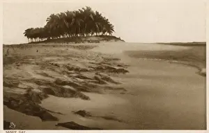 Bahamas Prints: Sandy Cay, Nassau, Bahamas, West Indies
