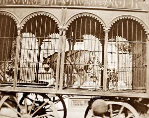 Sangers Circus parade