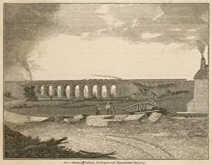 1835 Prints: Sankey Viaduct