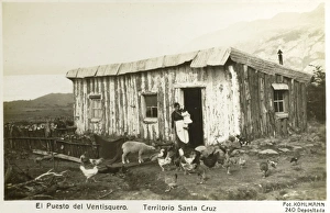 Live Stock Collection: Santa Cruz Province Argentina - Smallholding