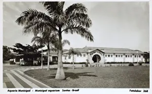 Santos Prints: Santos, Brazil - The Municipal Aquarium