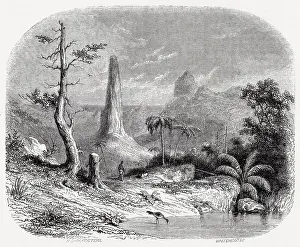 Sao Tome & Principe, a West African island republic: typical landscape Date: 1853