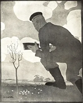 Higgins Collection: The Sapling