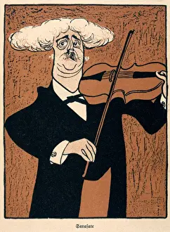 Bushy Prints: Sarasate / Simplicissimus