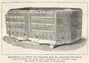 Sarcophagus/Alexander