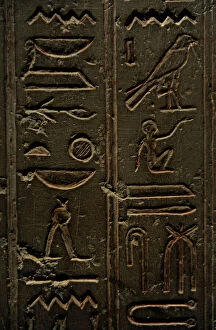 Hieroglyph Collection: Sarcophagus of Nesi-Hor. 200 B. C. Hieroglyphic writing. Carl