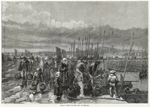 Brittany Collection: Sardine fishery at Brittany 1871