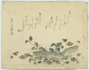 Plums Prints: Sardines and plums on holly