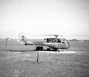 Saro Prints: Saro P.531-2 - Scout AH.1 XP191