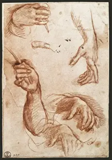 De L Prints: SARTO, Andrea del (1486-1531)