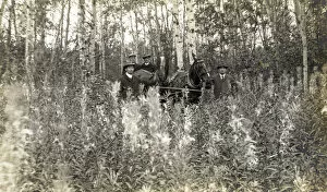 Images Dated 2nd September 2020: Saskatchewan, Canada - four men with buggy