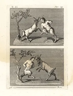 Antichità Gallery: Two satyrs butting heads with goats