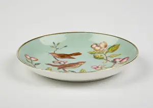 Saucer