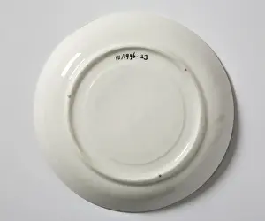 Saucer