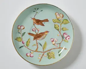Saucer