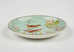 Saucer